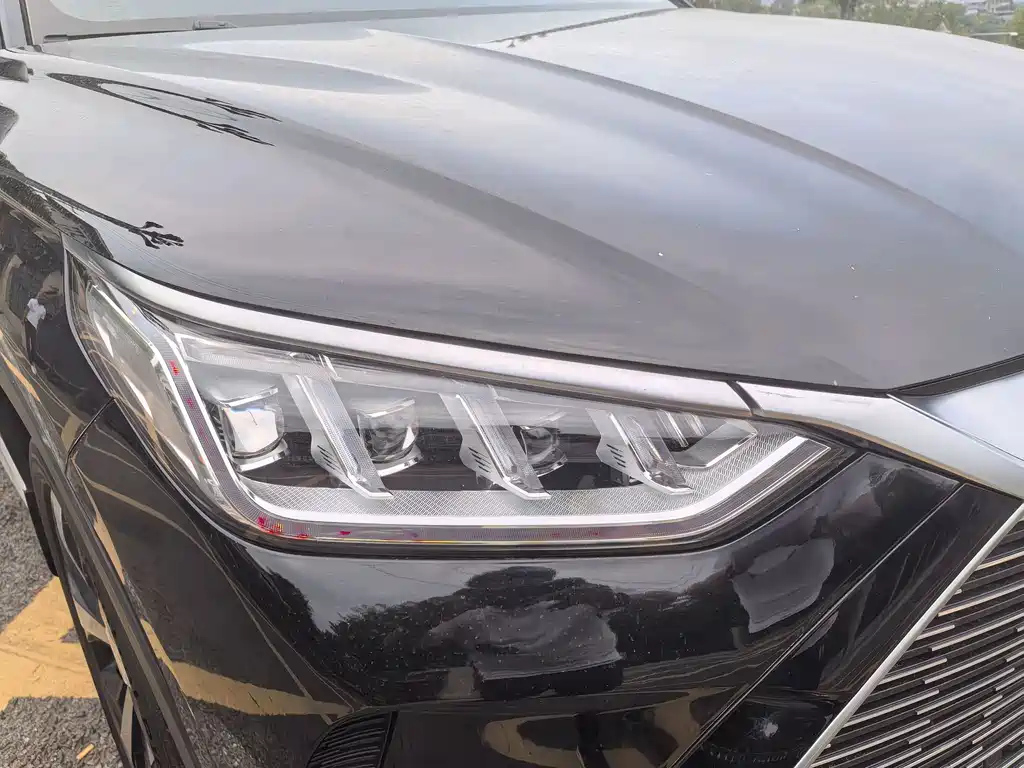 BYD SONG PLUS NEW ENERGY 2021