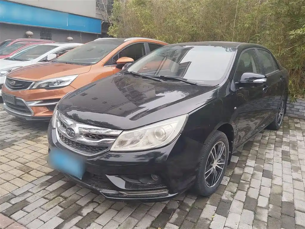 BYD OTHER 2015