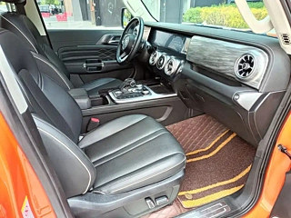 TANK 300 2021 YEAR EDITION 2.0T 2021
