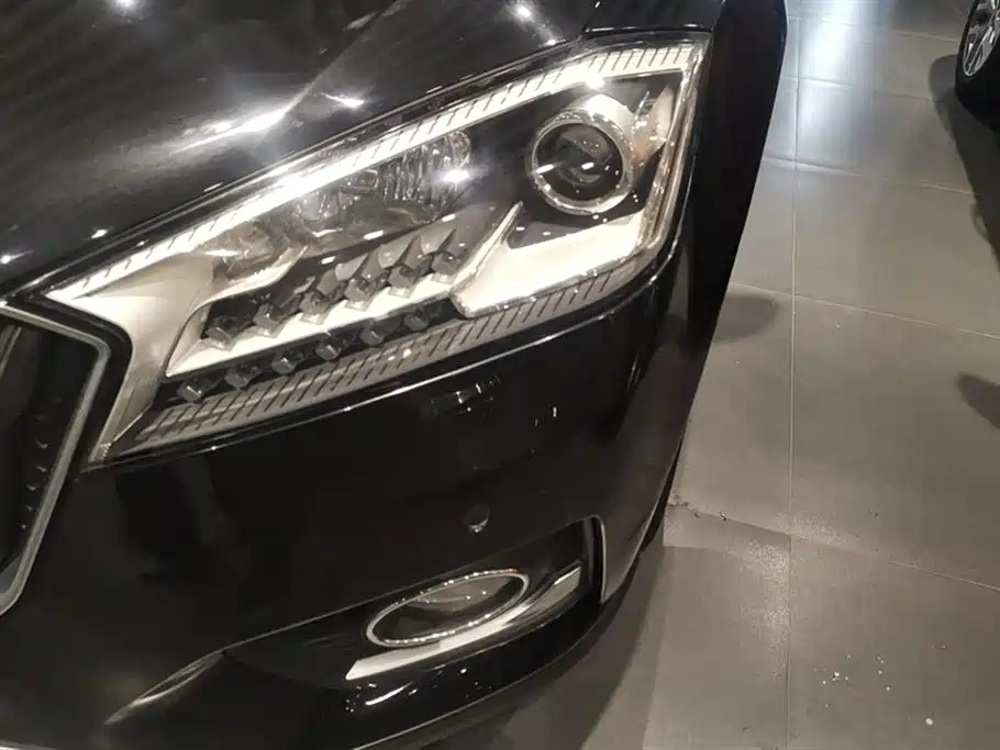BORGWARD BX7 2016
