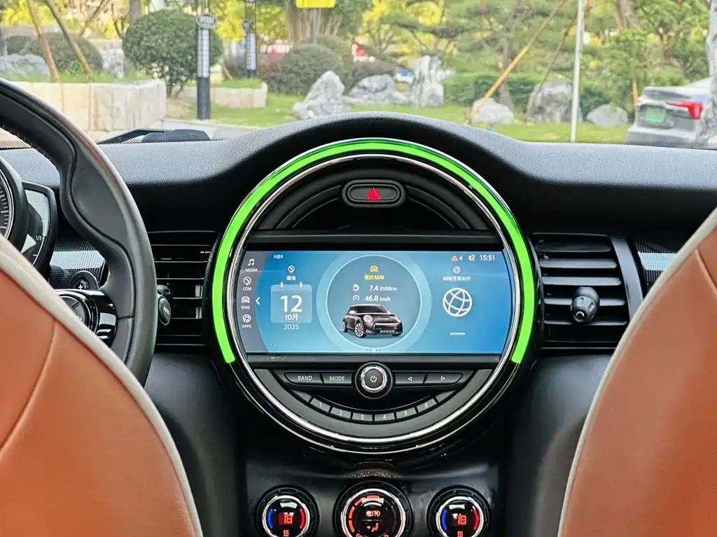 MINI OTHER 2020