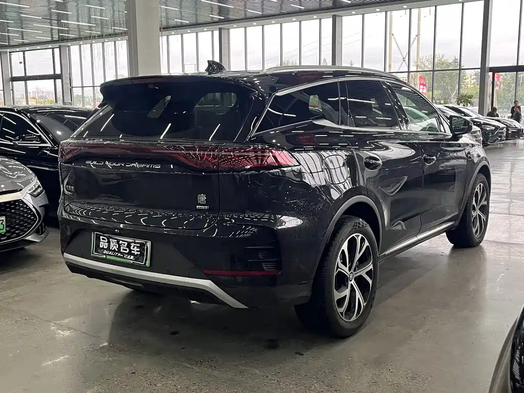 BYD TANG NEW ENERGY 2025