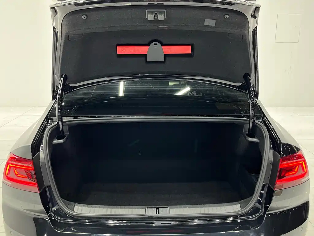 VOLKSWAGEN MAGOTAN 2020