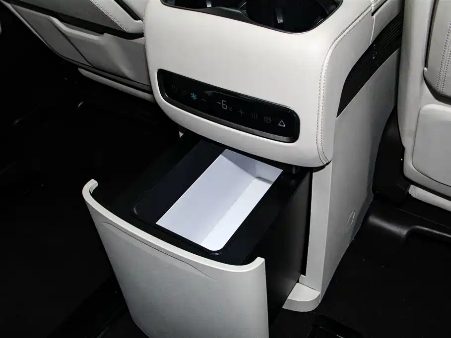 DENZA D9 2024