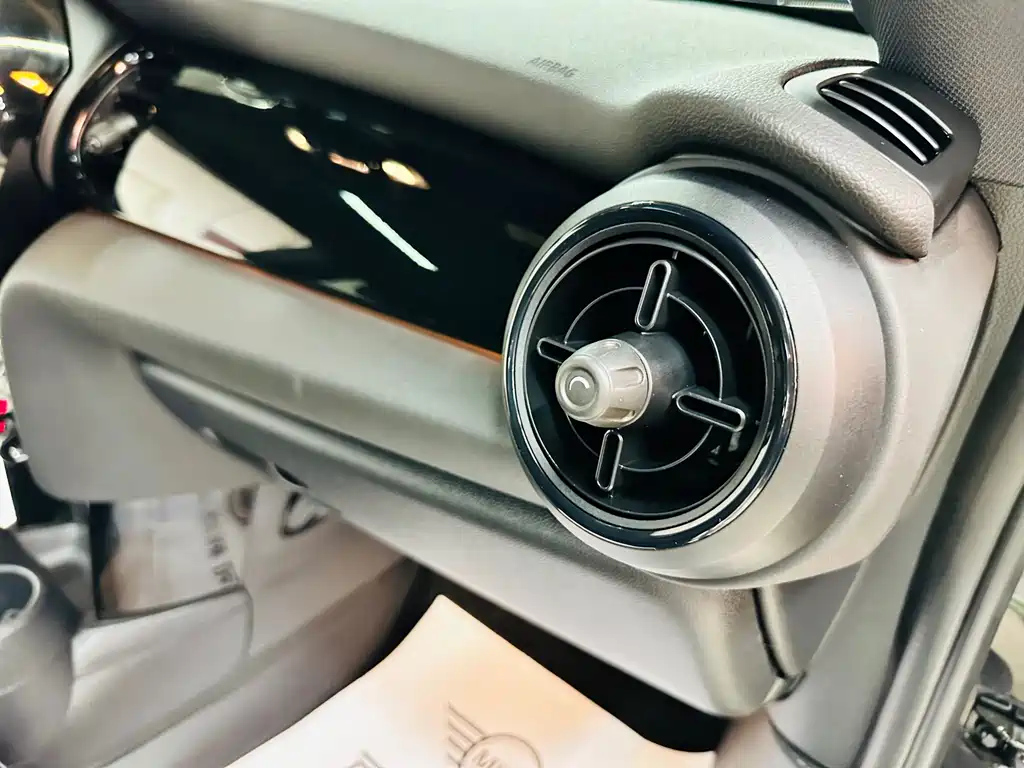 MINI OTHER 2023