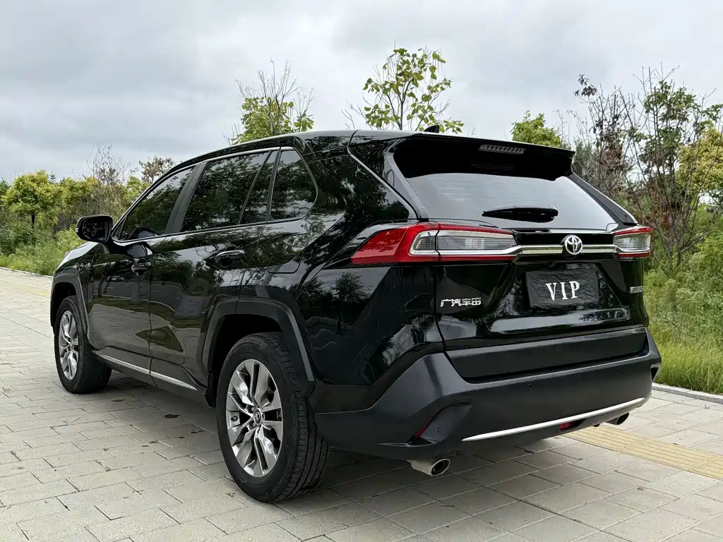 TOYOTA WILDLANDER 2022