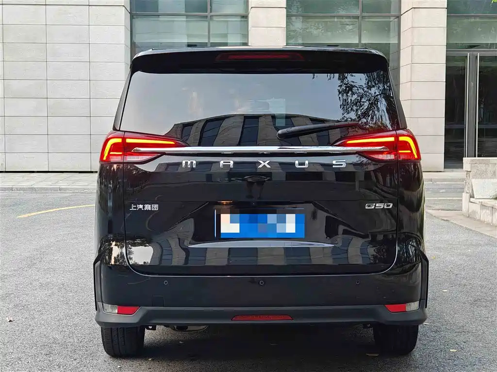MAXUS OTHER 2019