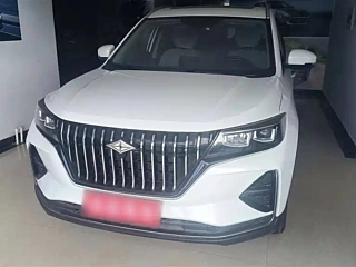 Заказать BEIQI GROUP Y X5