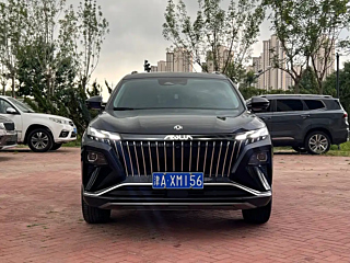 DONGFENG OTHER 2022