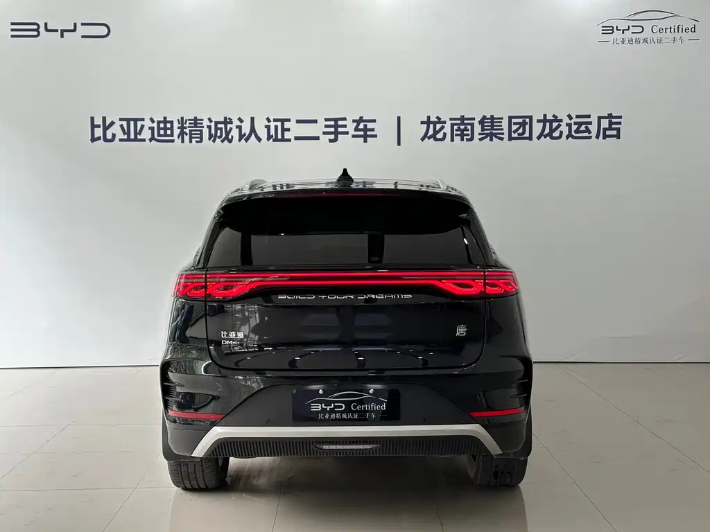 BYD TANG NEW ENERGY 2024