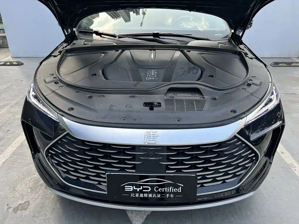 BYD TANG NEW ENERGY 2024