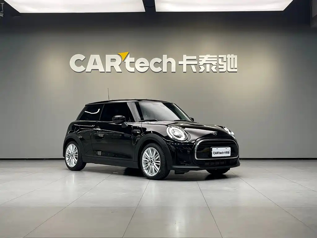MINI OTHER 2021