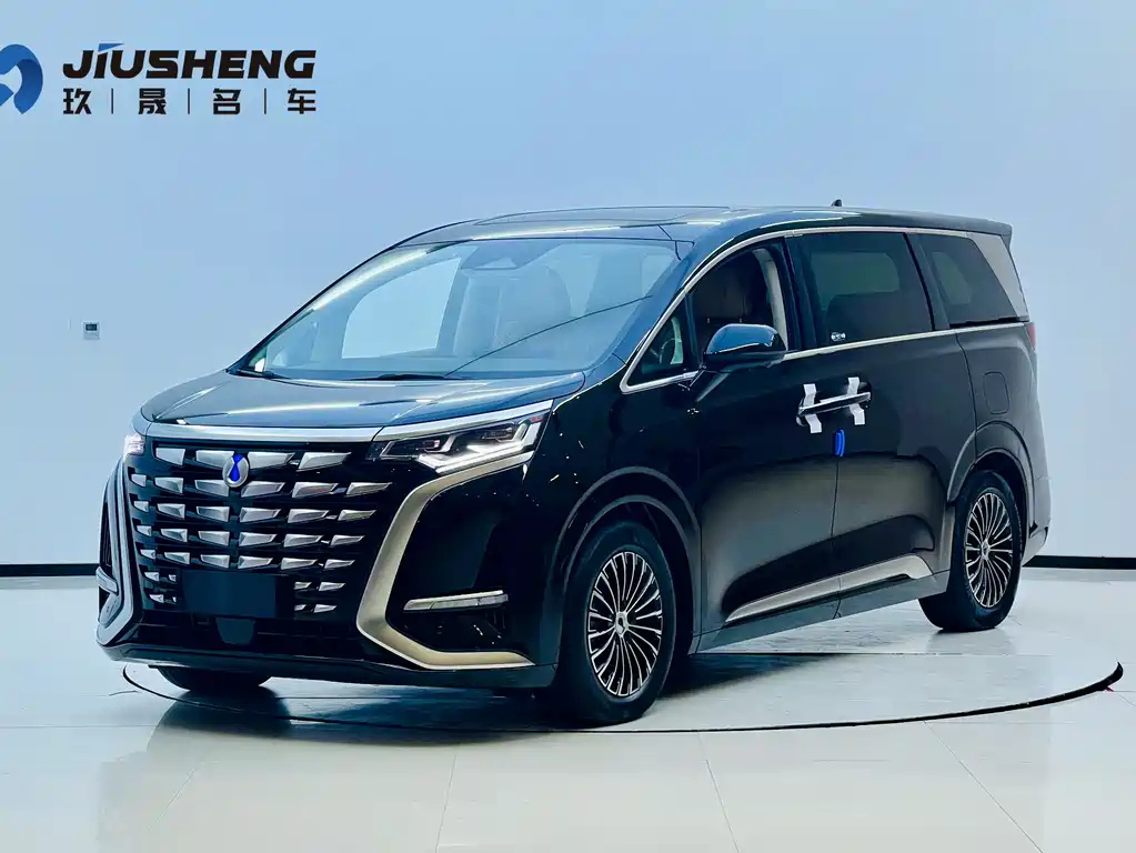 Аукционный лист DENZA D9 2024