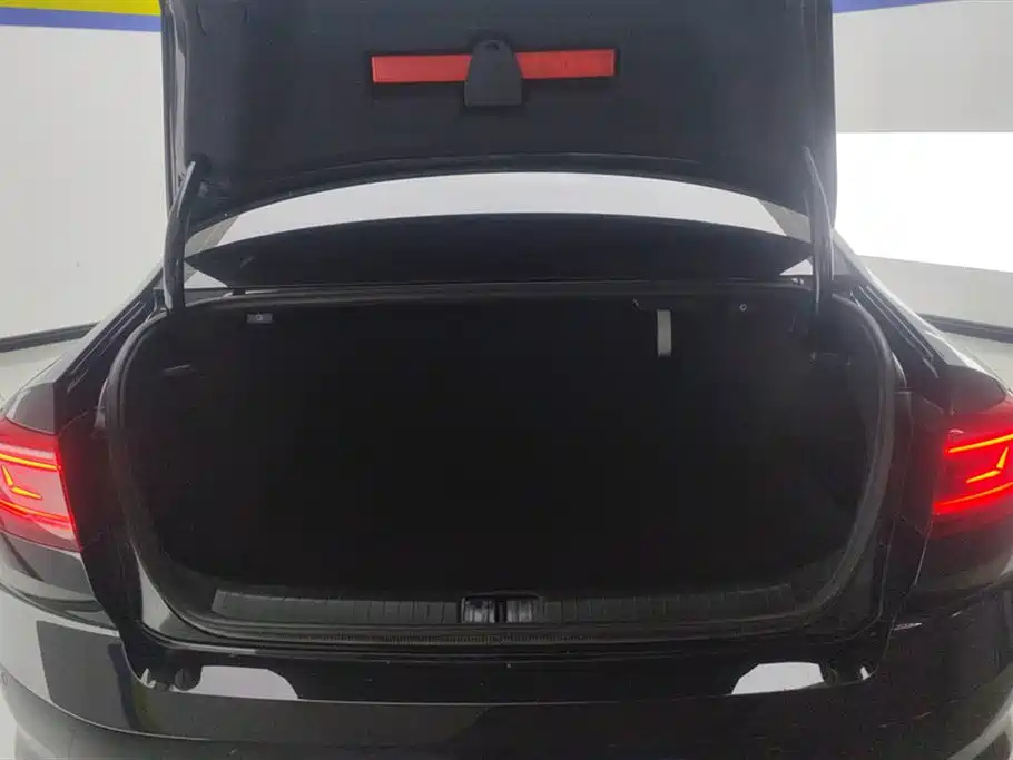 VOLKSWAGEN MAGOTAN 2021