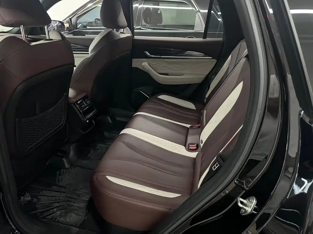 GEELY AUTO MONJARO 2021