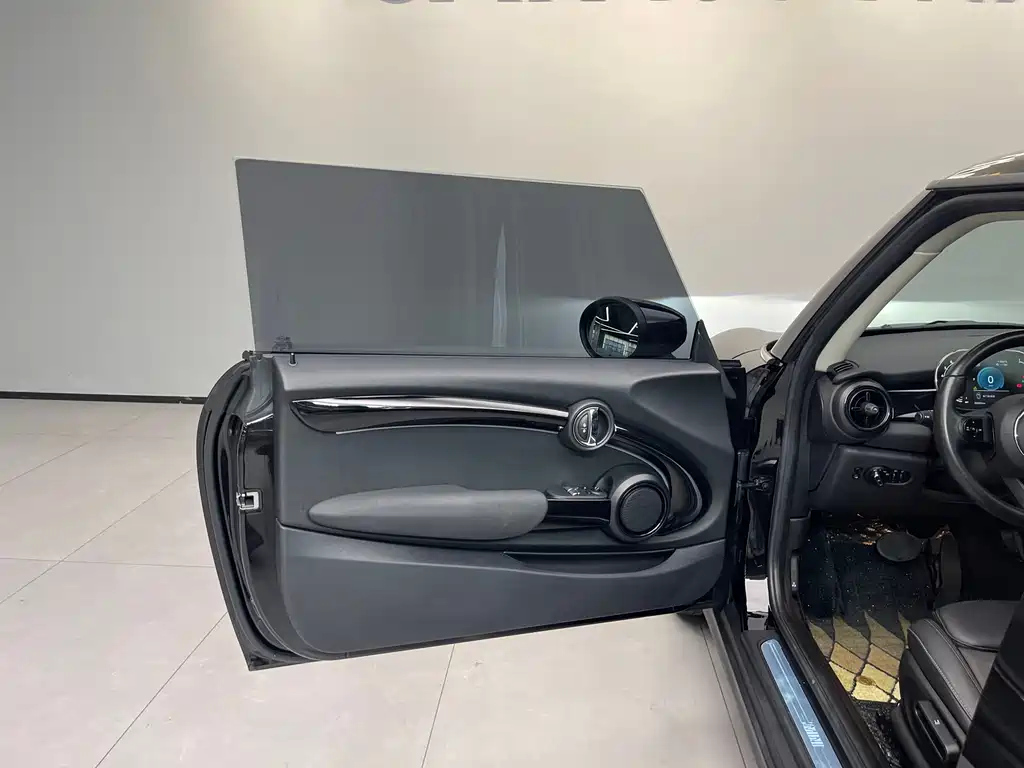 MINI OTHER 2021