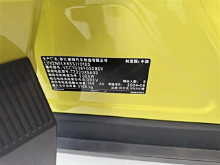 VOLVO EX30  2025 YEAR &#21518;&#39537;&#38271; RANGE EDITION PLUS 2025