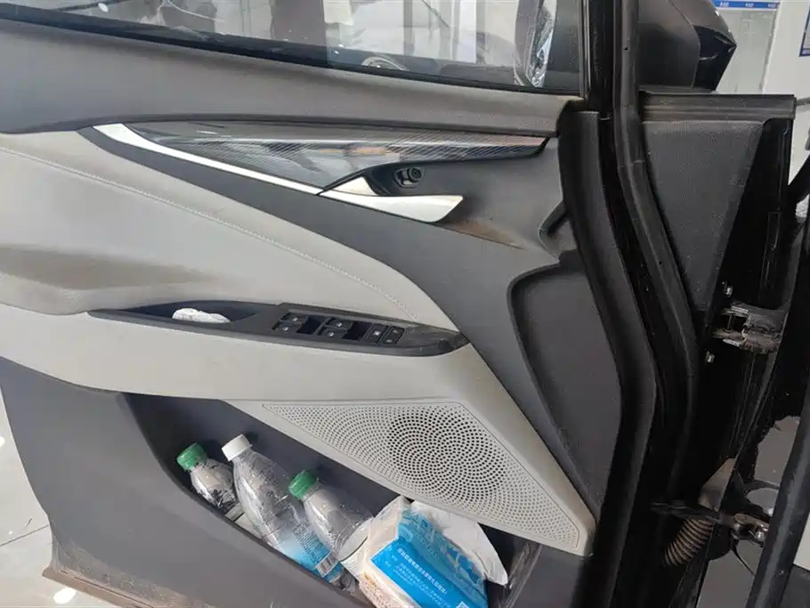 MAXUS OTHER 2021