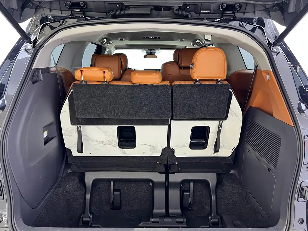 TOYOTA SIENNA SIENNA 2024