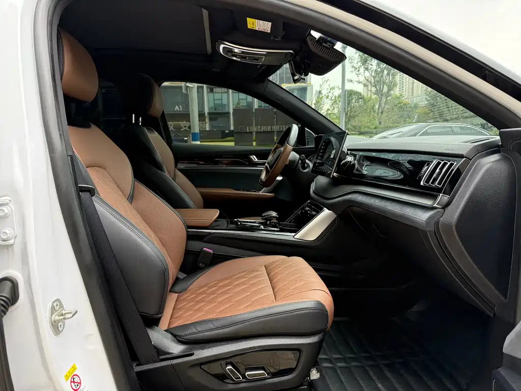 BYD TANG NEW ENERGY 2021