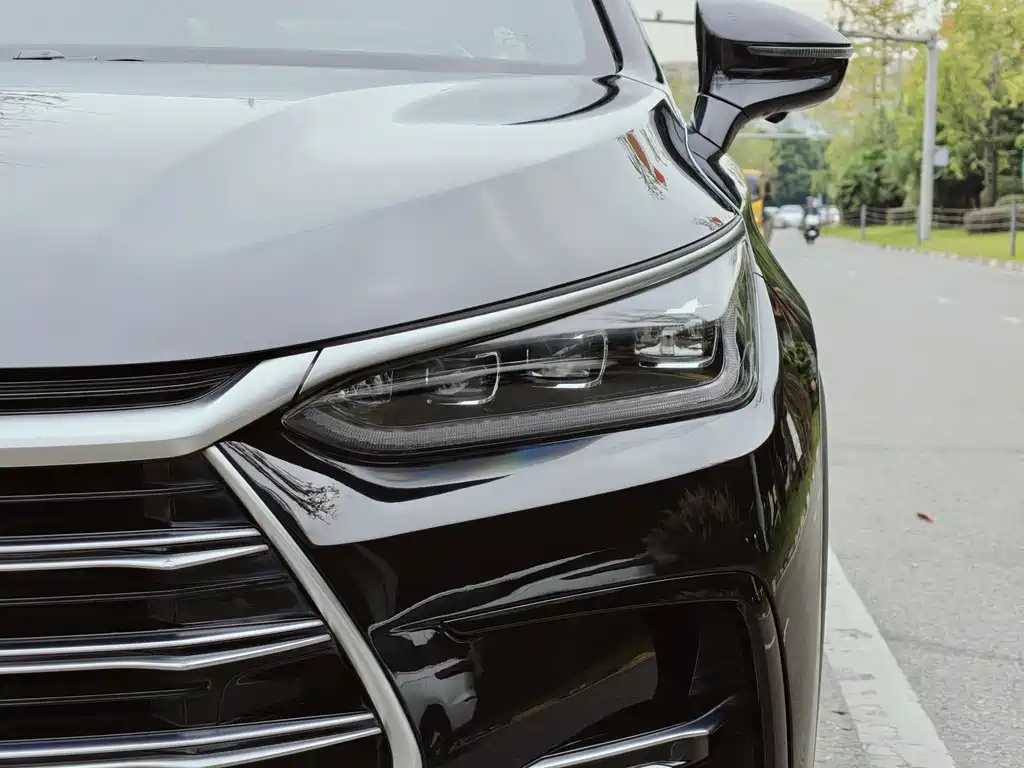 BYD TANG NEW ENERGY 2021
