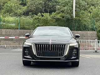 HONGQI H5 2024
