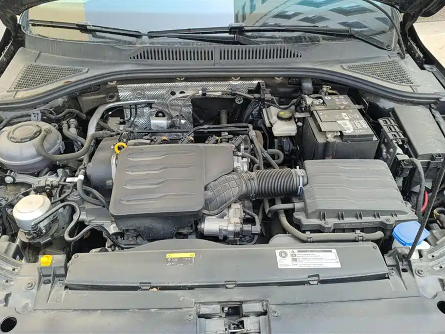 VOLKSWAGEN LAVIDA 2024