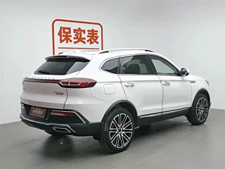 Заказать LEOPAARD MATTU