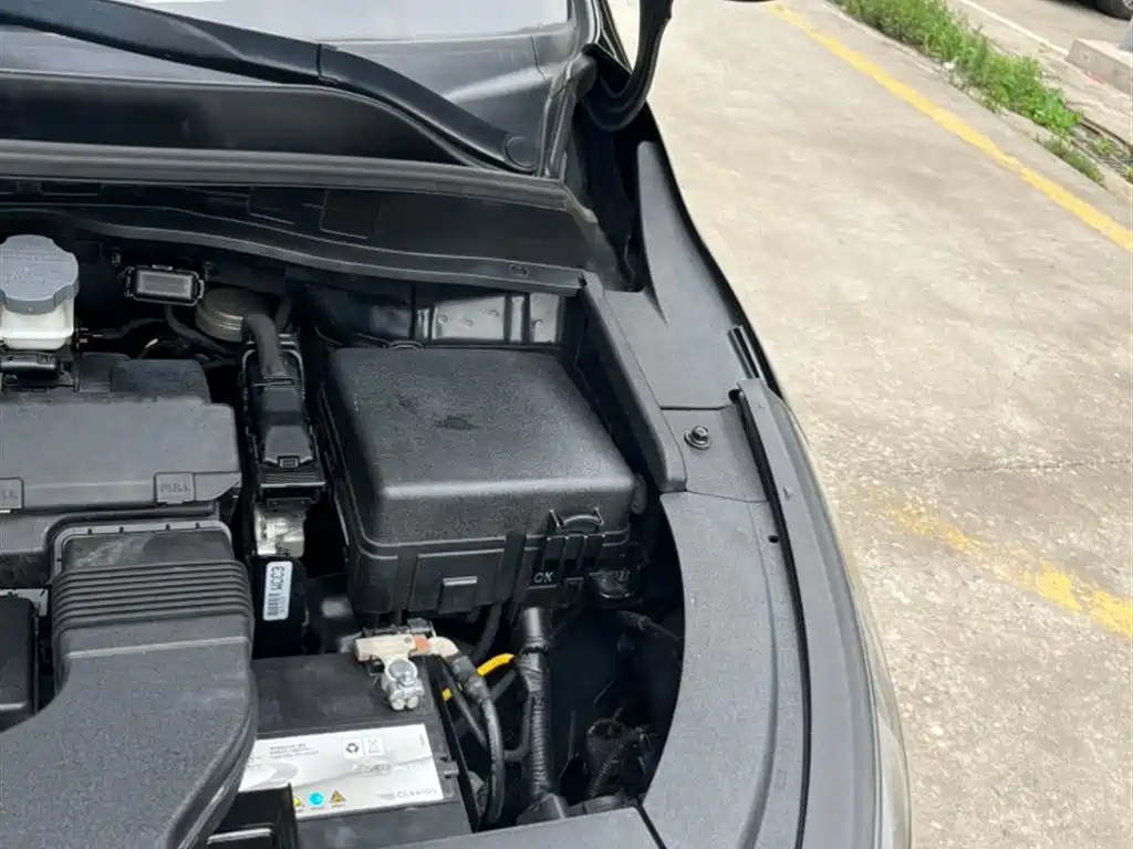 KIA CARNIVAL IMPORT 2017