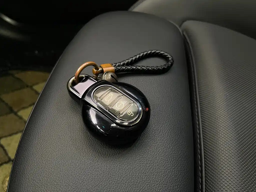 MINI OTHER 2021