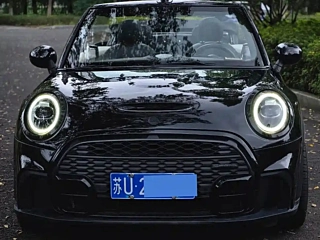 MINI OTHER 2019