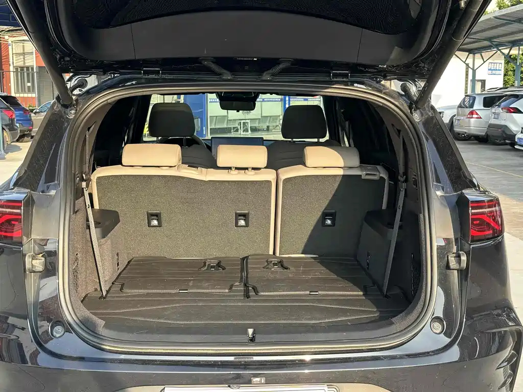 BYD TANG NEW ENERGY 2024