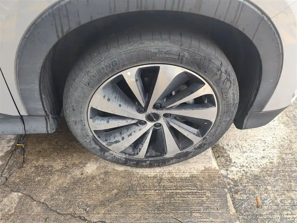 BYD SONG PLUS NEW ENERGY 2024