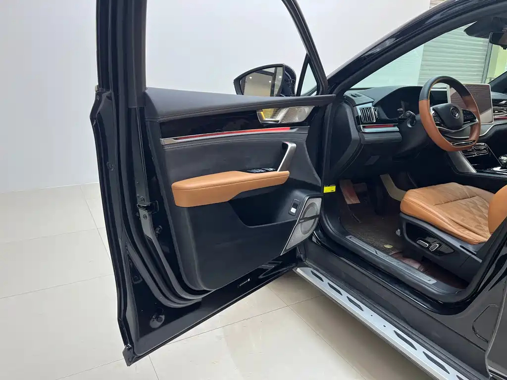 BYD TANG NEW ENERGY 2023