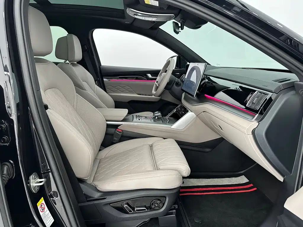 BYD TANG NEW ENERGY 2025