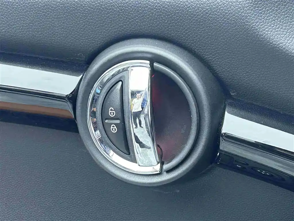 MINI OTHER 2021
