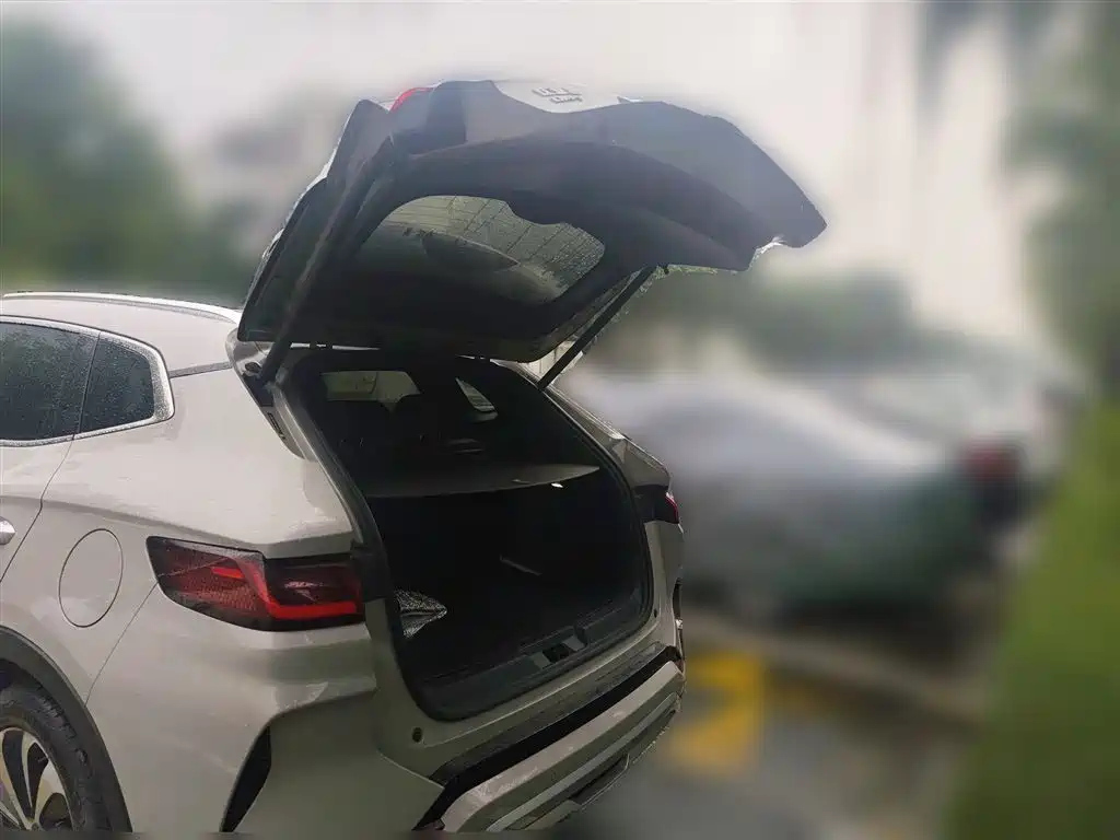 BYD SONG PLUS NEW ENERGY 2024