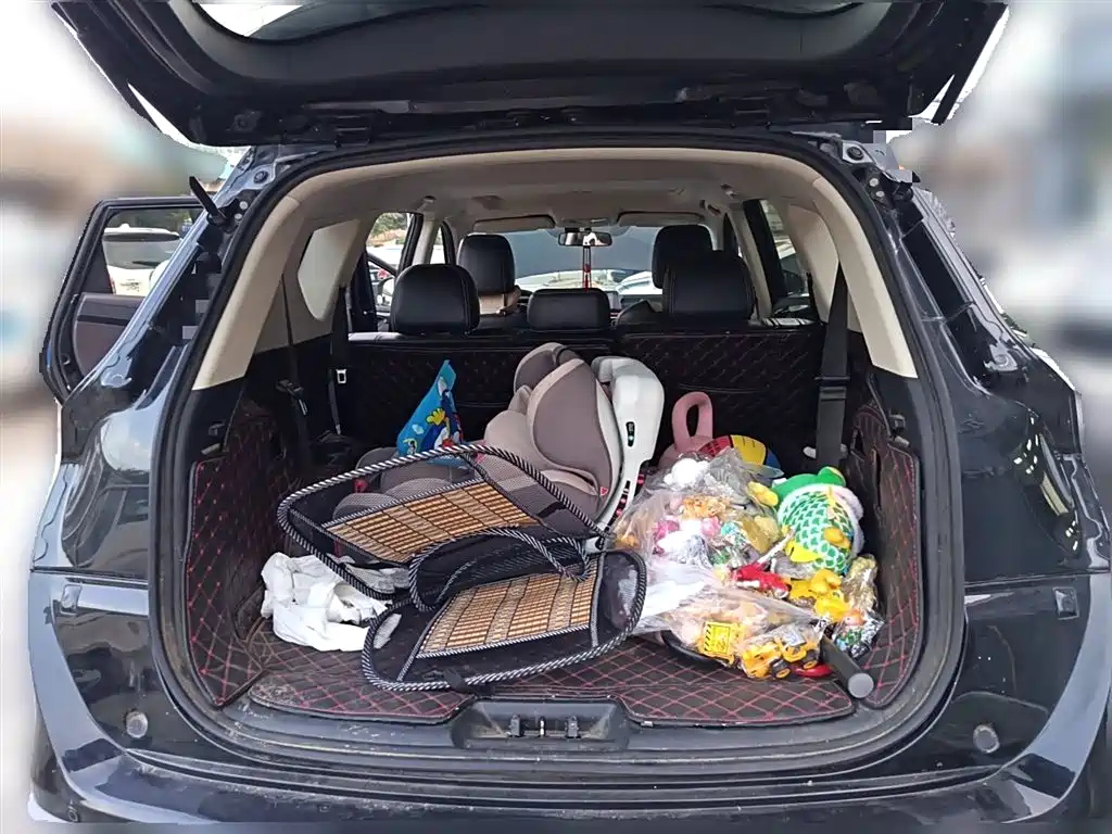 DONGFENG SCENERY 580 2020