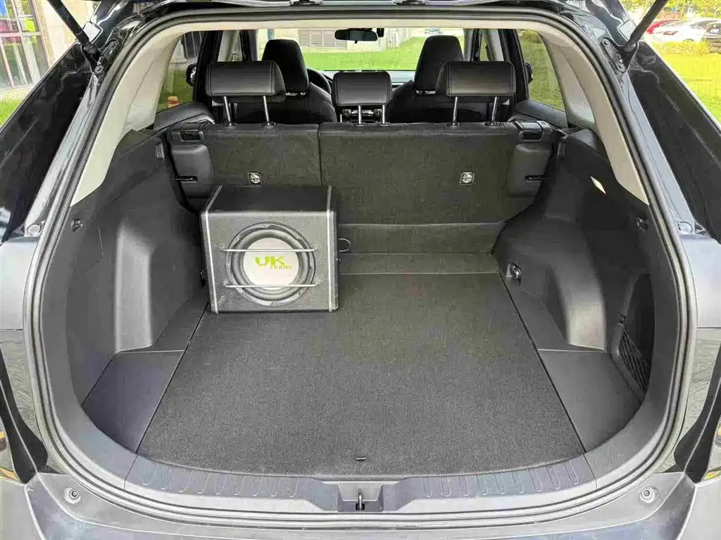 TOYOTA WILDLANDER 2023