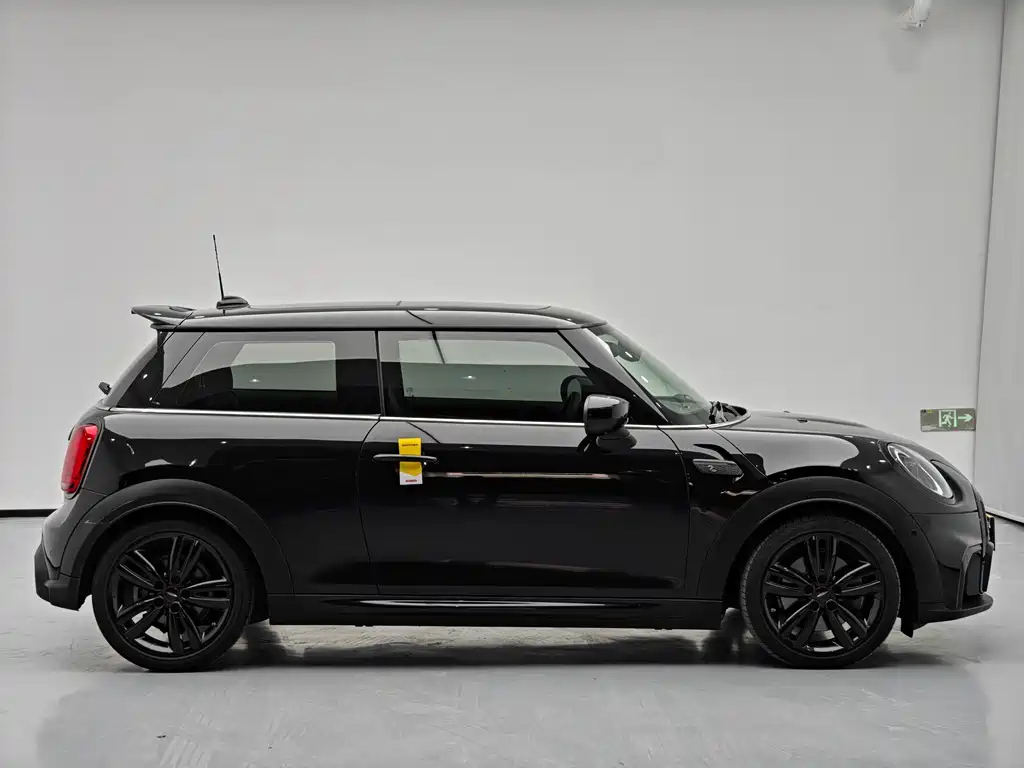 MINI OTHER 2022