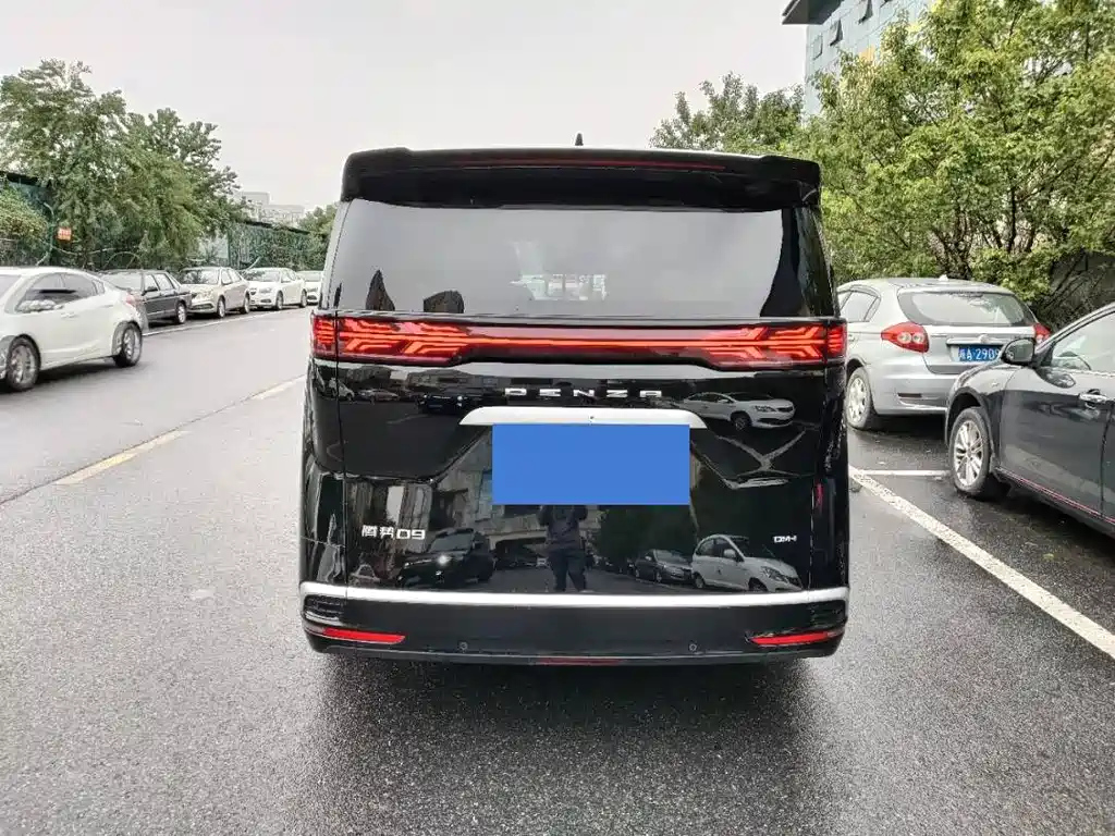 DENZA D9 2024