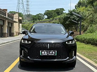 WEY P8  2018
