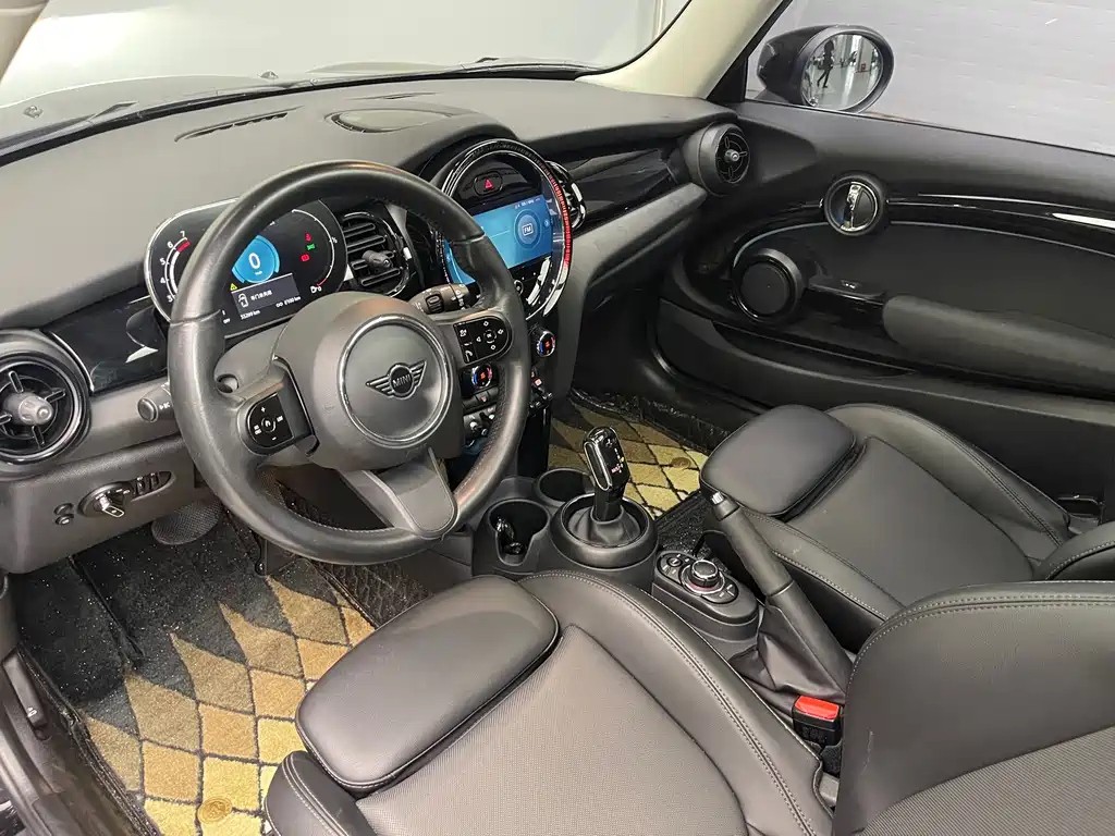 MINI OTHER 2021
