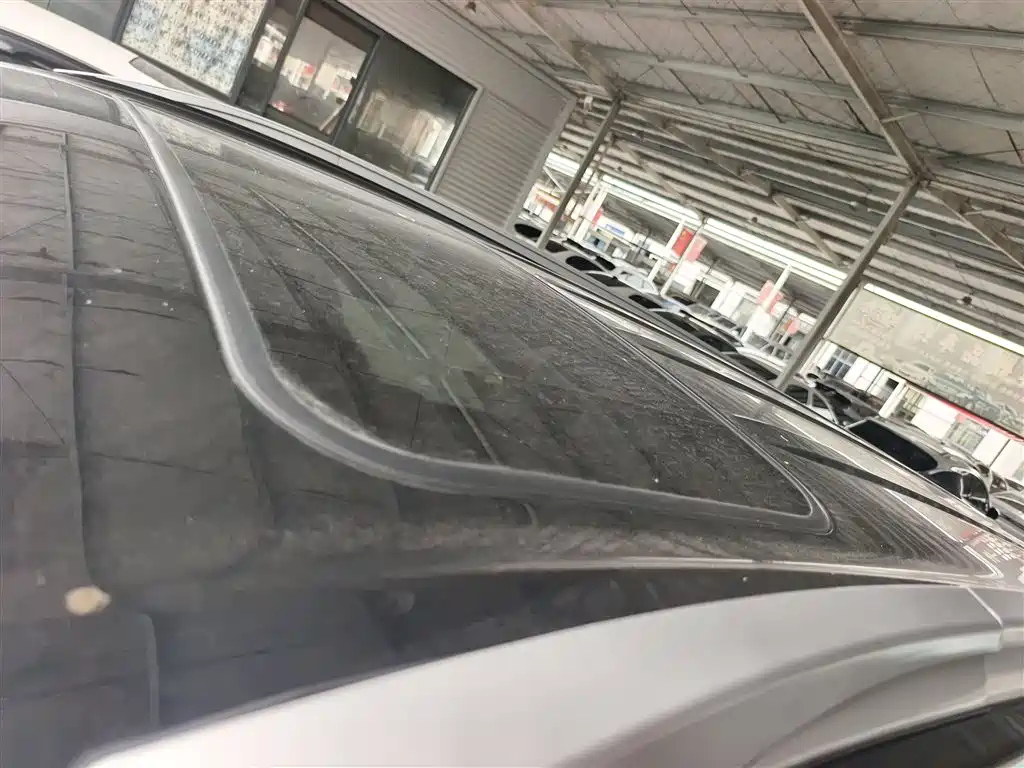 DONGFENG SCENERY 580 2020