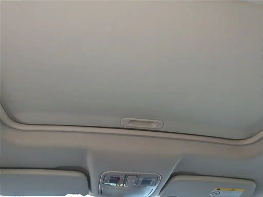 DONGFENG SCENERY 580 2020