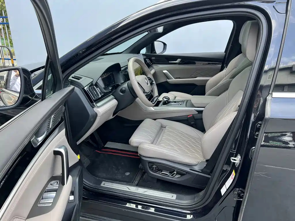 BYD TANG NEW ENERGY 2024