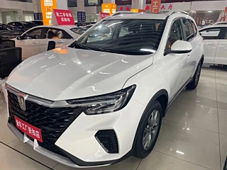 Заказать ROEWE RX5