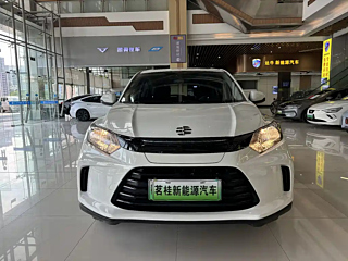 EVERUS GAC HONDA VE-1  2021