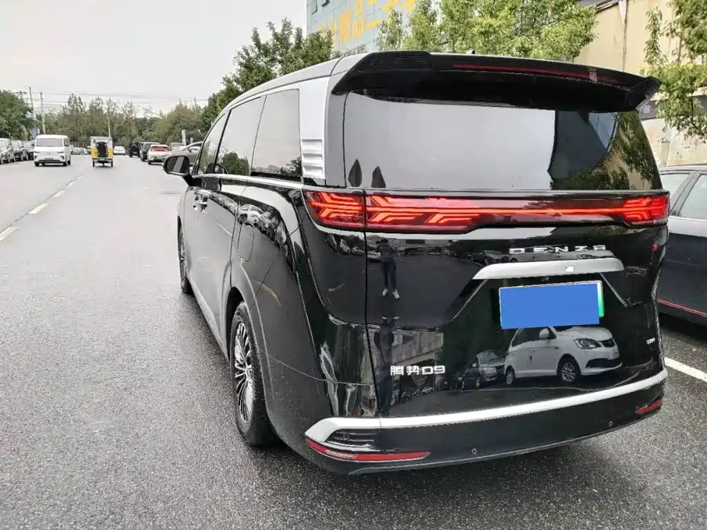 DENZA D9 2024