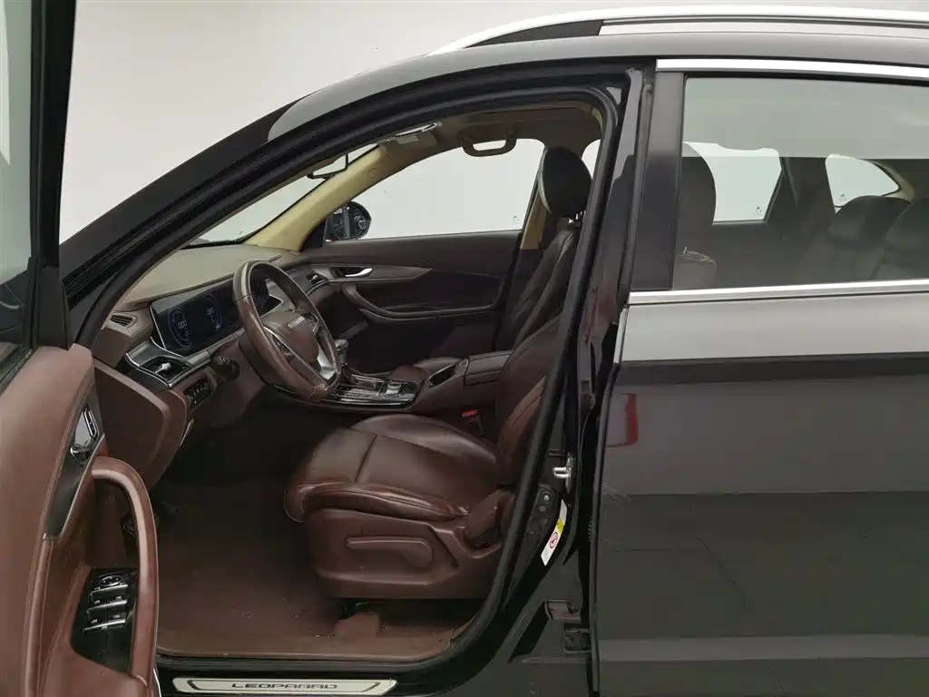 LEOPAARD MATTU 2018